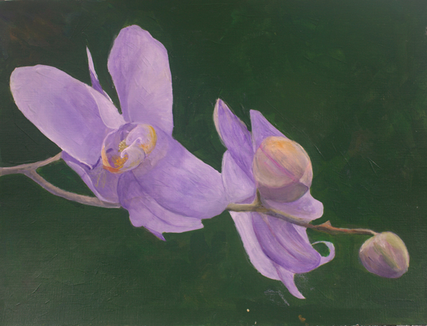 Lavendar Orchid