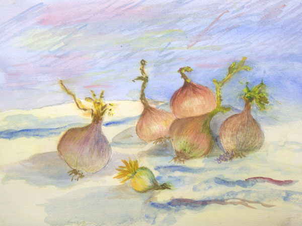 Renoirs onions in watercolor